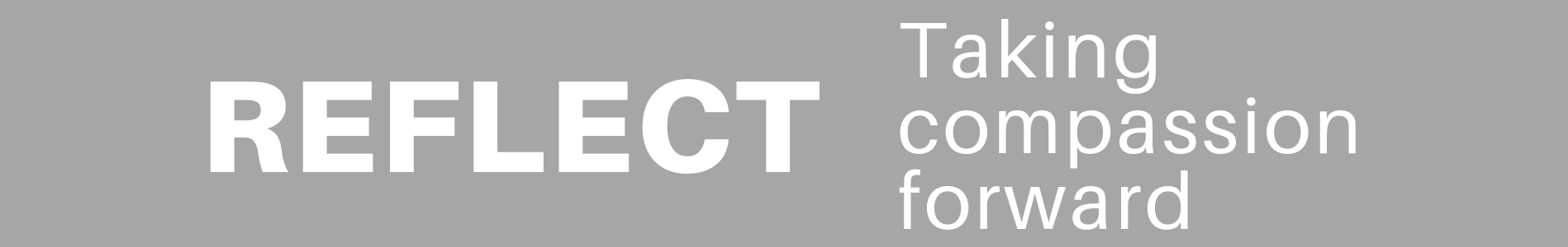 wordpress-reflect-6