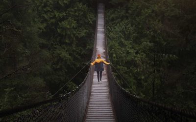 العواطف كمصدر طاقة مضاعفة للتحفيز: ثلاثة أسئلة رئيسية لتعزيز الشعور بالتحفيز